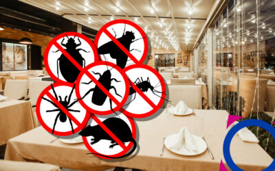 Control de plagas en restaurantes